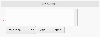 Main section of DNS system tab
